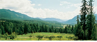 View from the Silver Hills Guest House